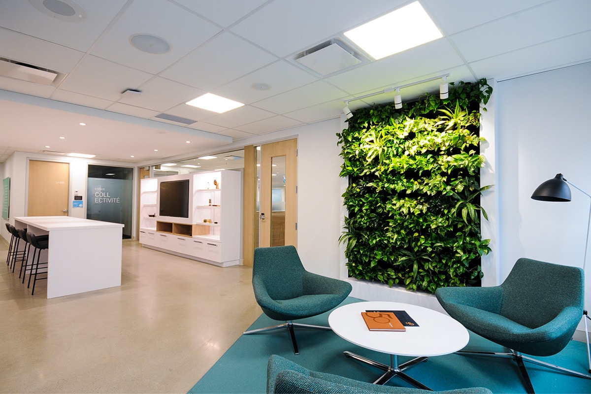Projet de design - Mur végétal et fauteuils au siège social de Logistec aménagé par VAD Designers d'intérieur commercial.