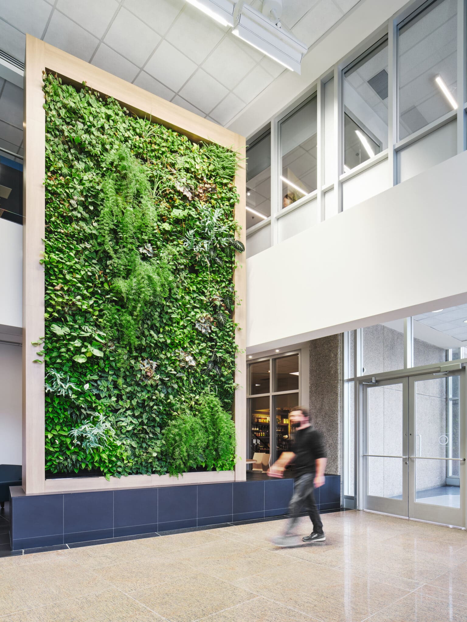 Mur végétal dans le hall du siège social du Fond de solidarité FTQ par VAD Designers d'intérieur commercial.