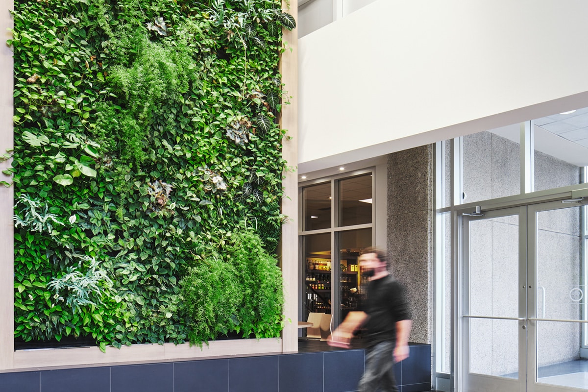 Mur végétal dans le hall du siège social du Fond de solidarité FTQ par VAD Designers d'intérieur commercial.