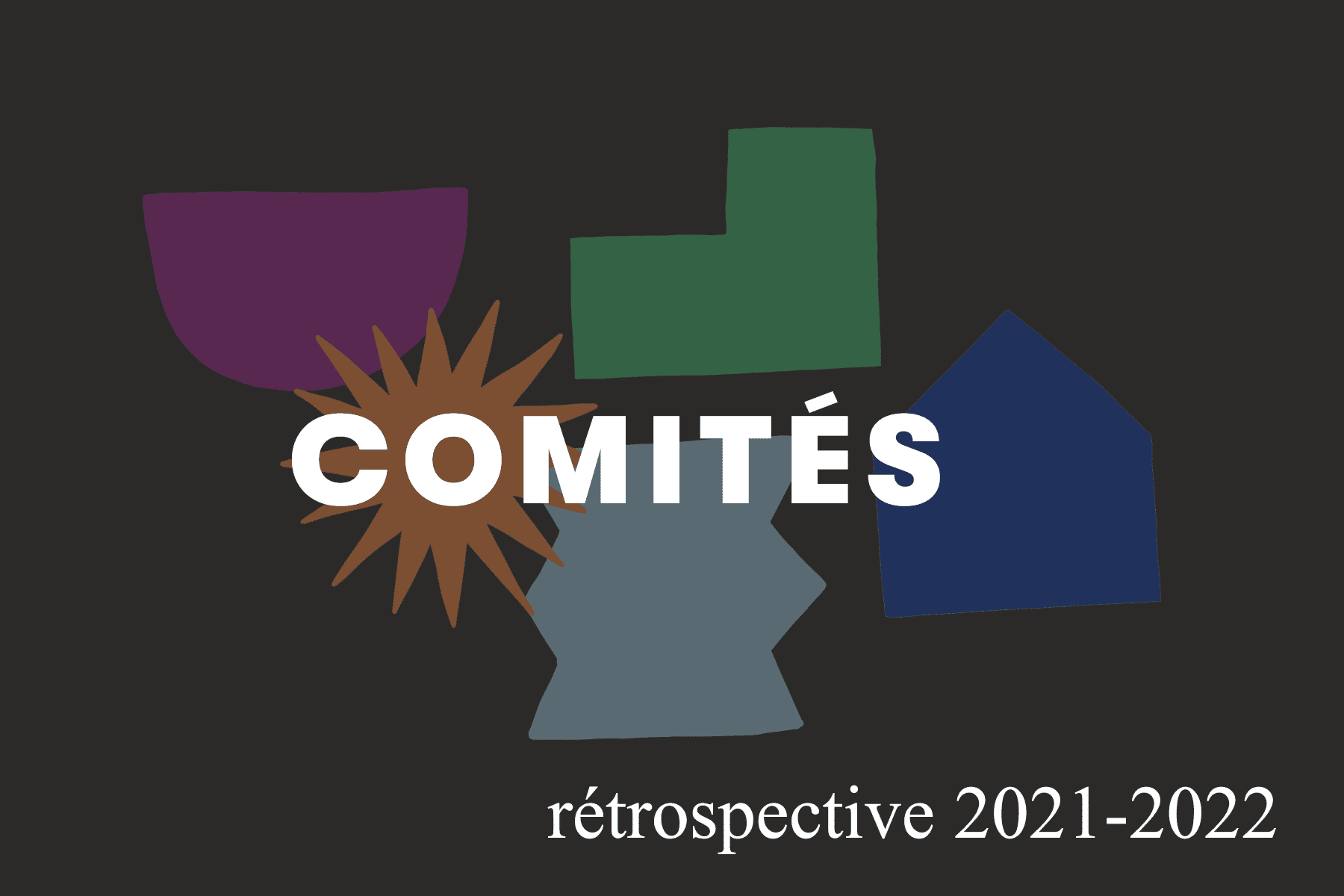 rétrospective 2021-2022 sur les comités VAD